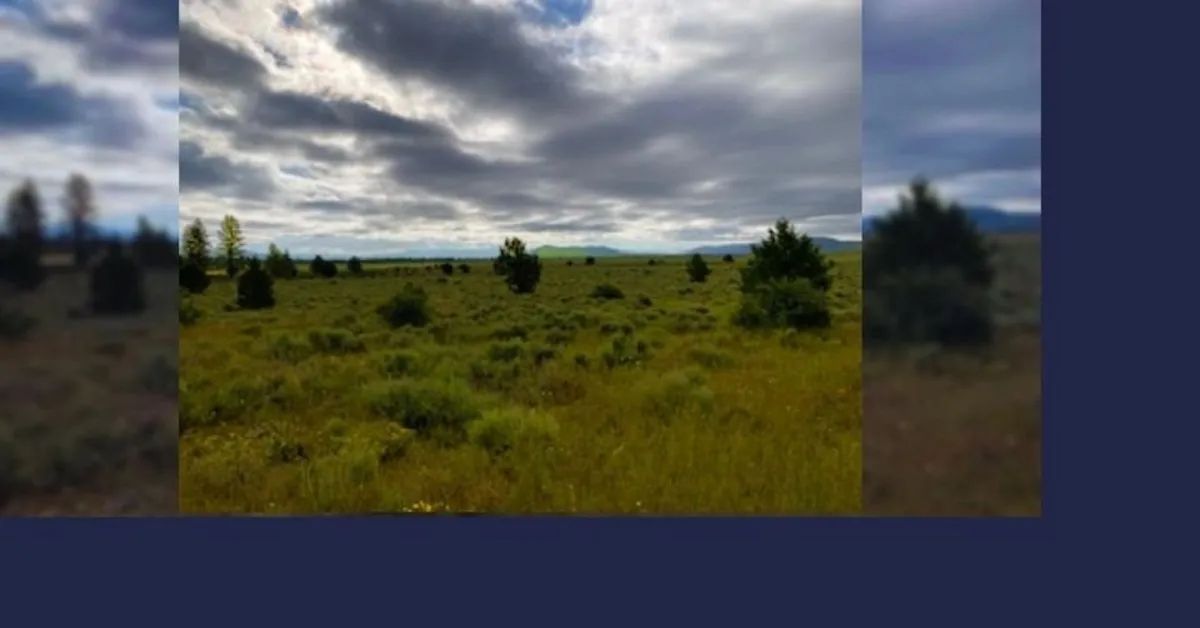 Rare 1.46 Acre off-grid parcel on lower plateau! in Klamath County, OR