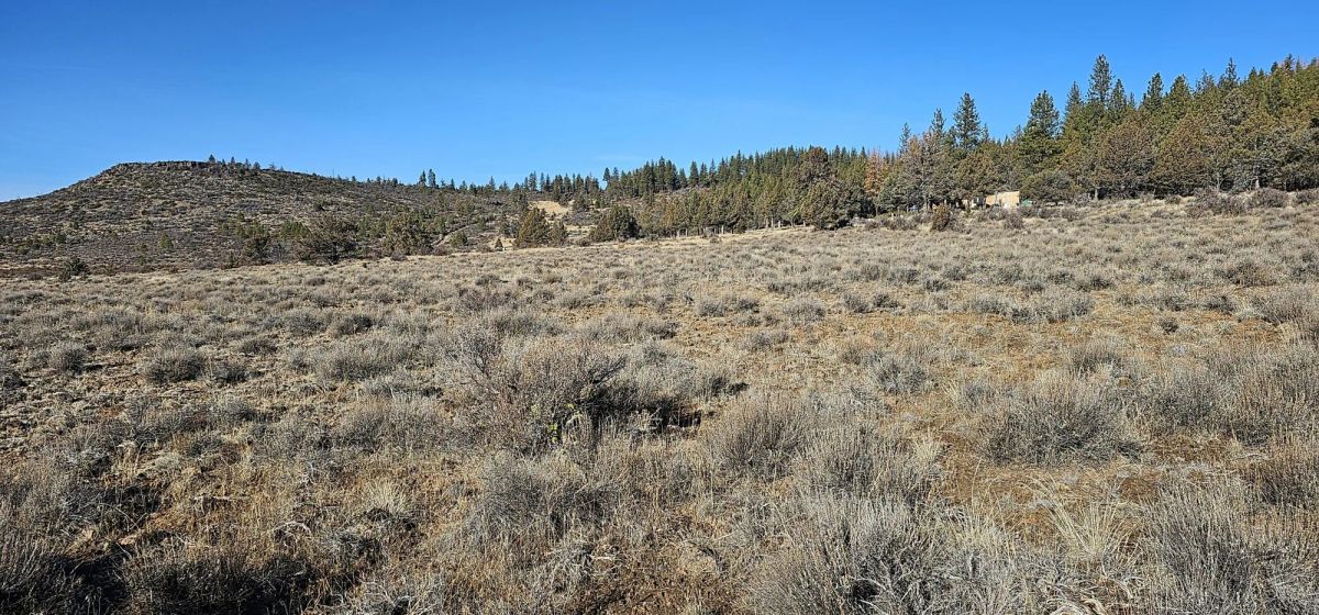 Decorative background for Rare 1.46 Acre off-grid parcel on lower plateau! image 6