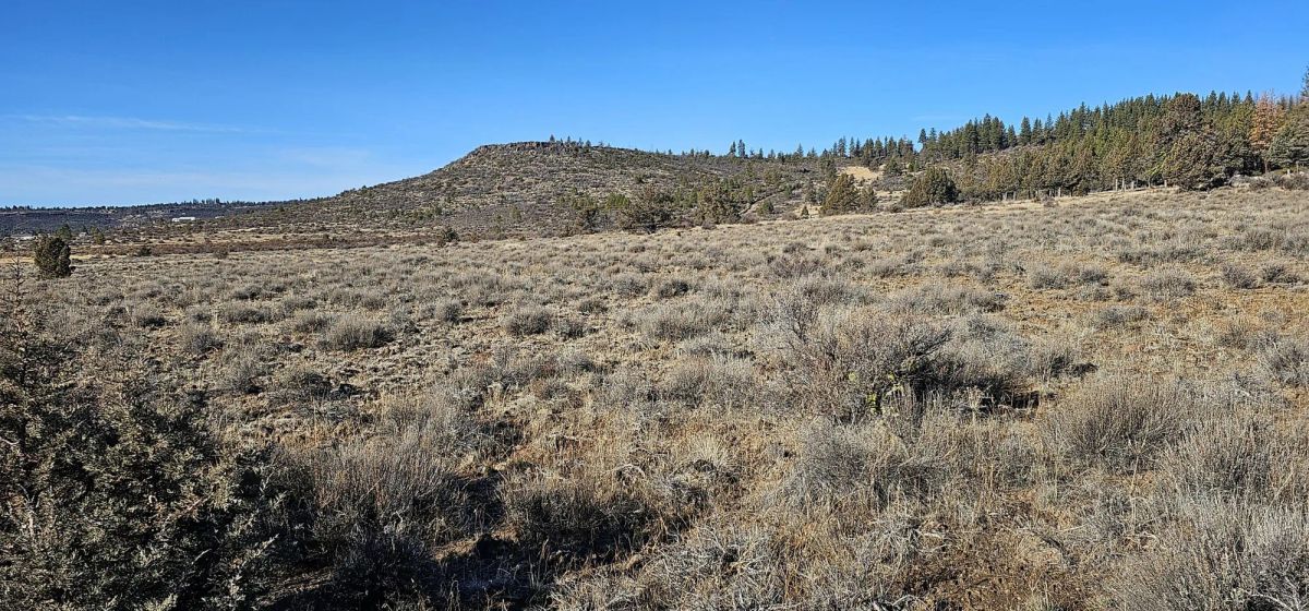 Decorative background for Rare 1.46 Acre off-grid parcel on lower plateau! image 7
