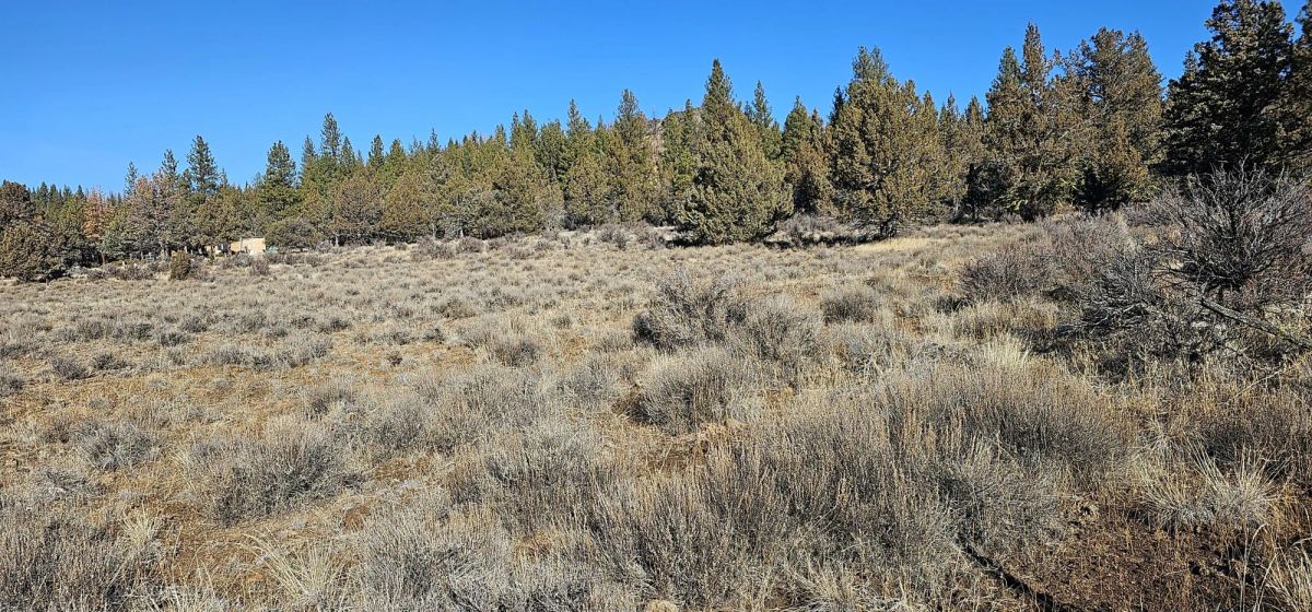 Decorative background for Rare 1.46 Acre off-grid parcel on lower plateau! image 12