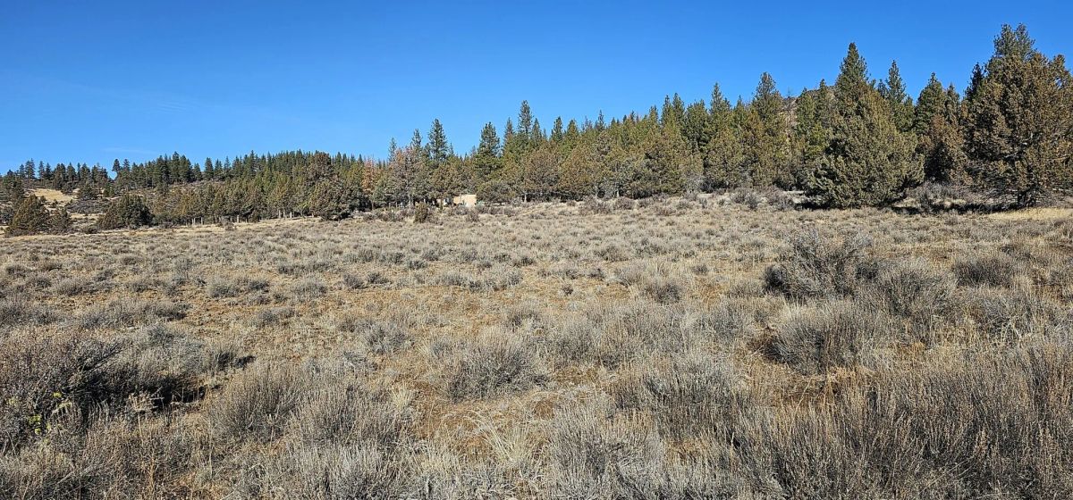 Decorative background for Rare 1.46 Acre off-grid parcel on lower plateau! image 13