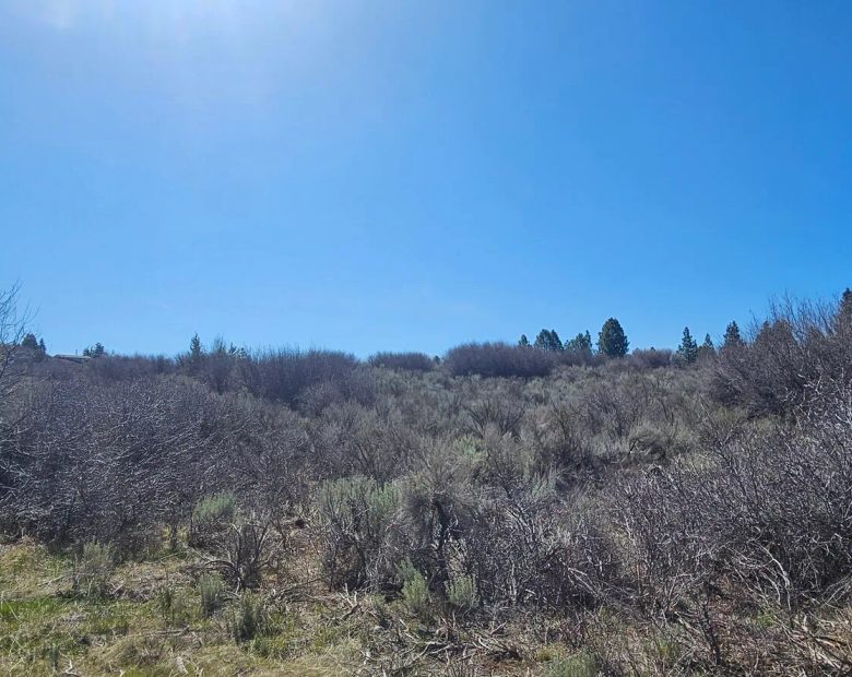 Opportunity awaits on this charming parcel in lakeside community! in Klamath County, OR