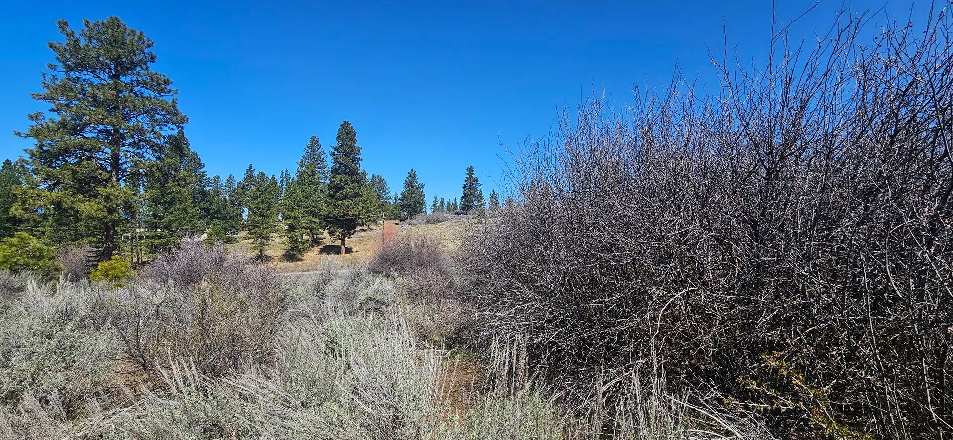 Opportunity awaits on this charming parcel in lakeside community! in Klamath County, OR