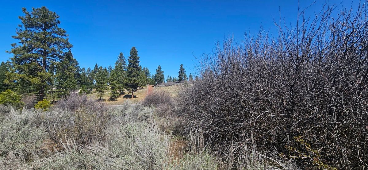 Opportunity awaits on this charming parcel in lakeside community! - Image 2