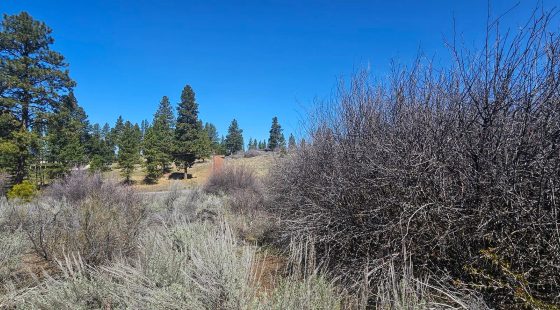 Opportunity awaits on this charming parcel in lakeside community! in Klamath County, OR