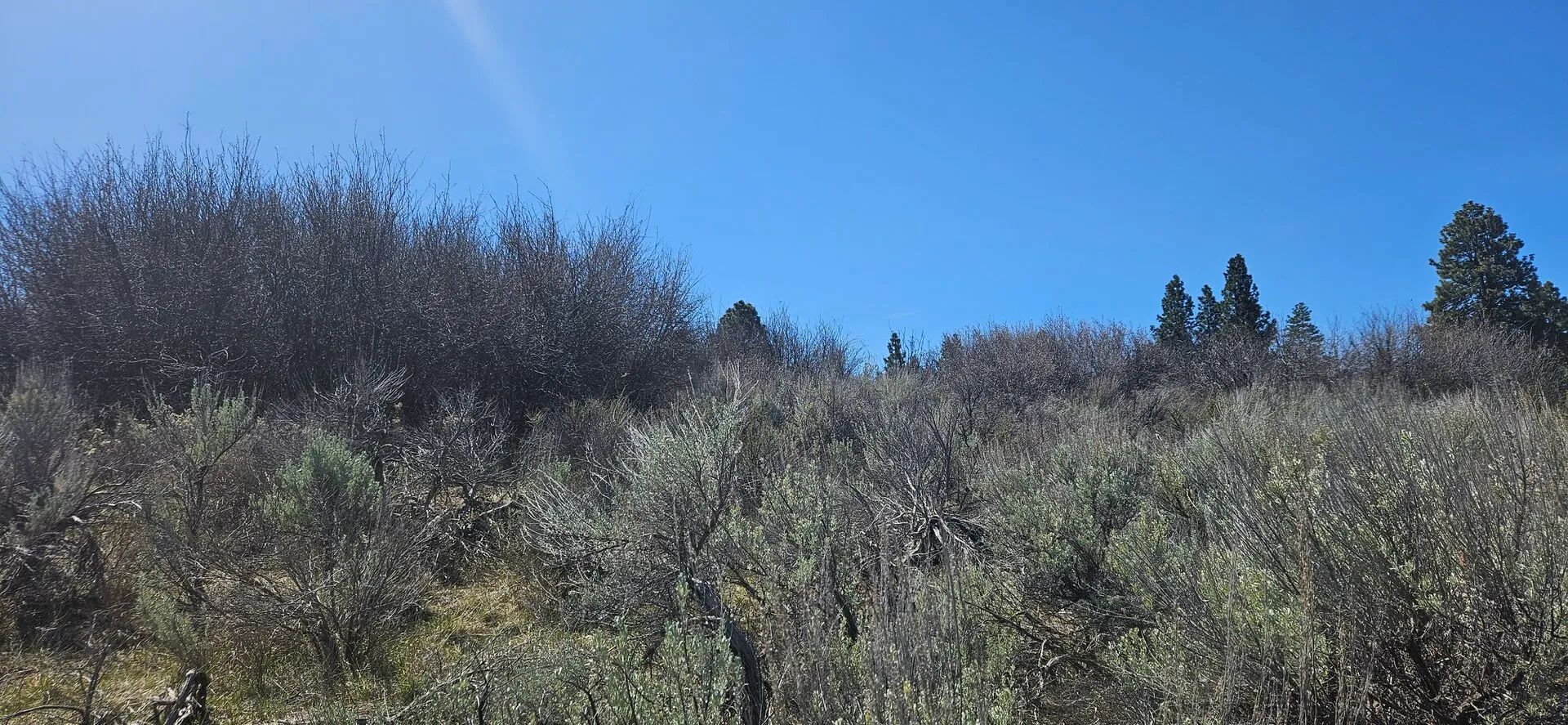 Opportunity awaits on this charming parcel in lakeside community! in Klamath County, OR