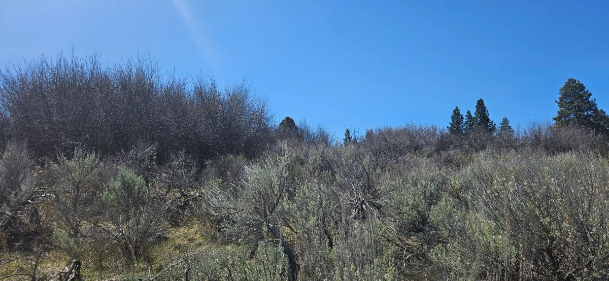 Opportunity awaits on this charming parcel in lakeside community! - Image 3