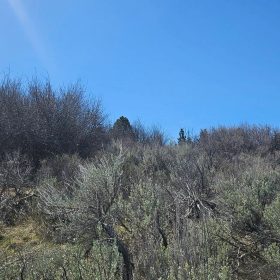 Opportunity awaits on this charming parcel in lakeside community! in Klamath County, OR
