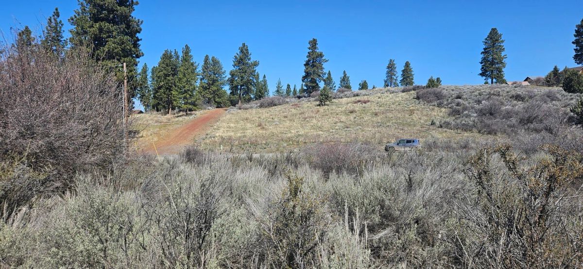 Opportunity awaits on this charming parcel in lakeside community! - Image 4