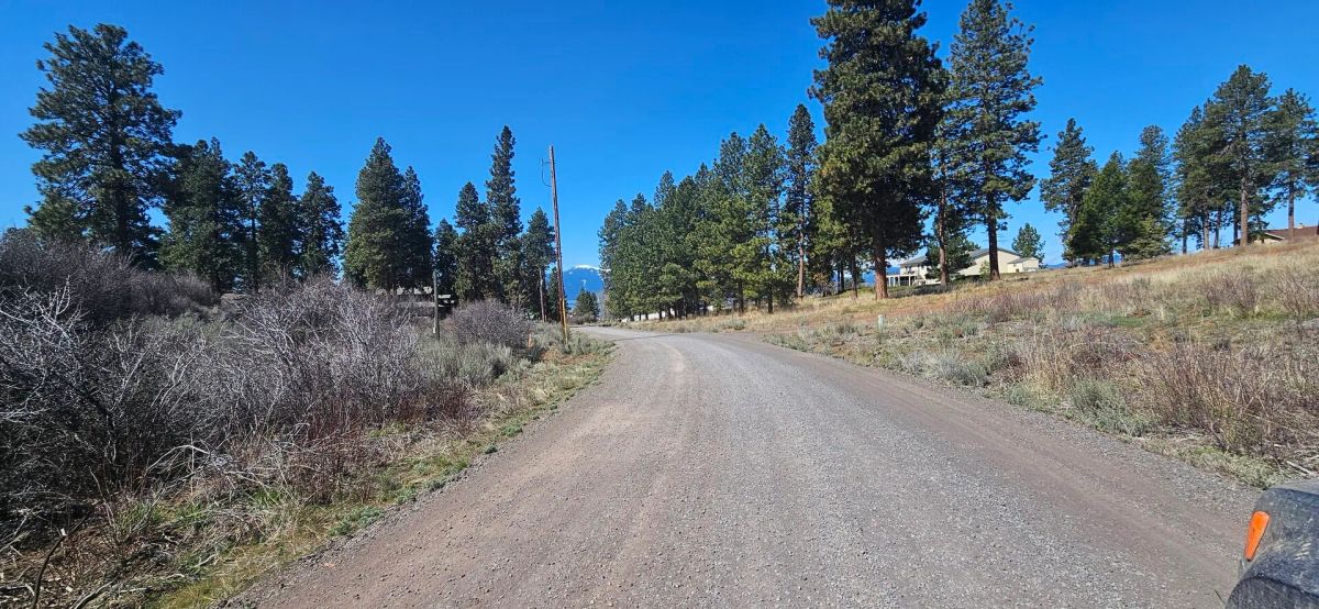 Decorative background for Opportunity awaits on this charming parcel in lakeside community! image 5