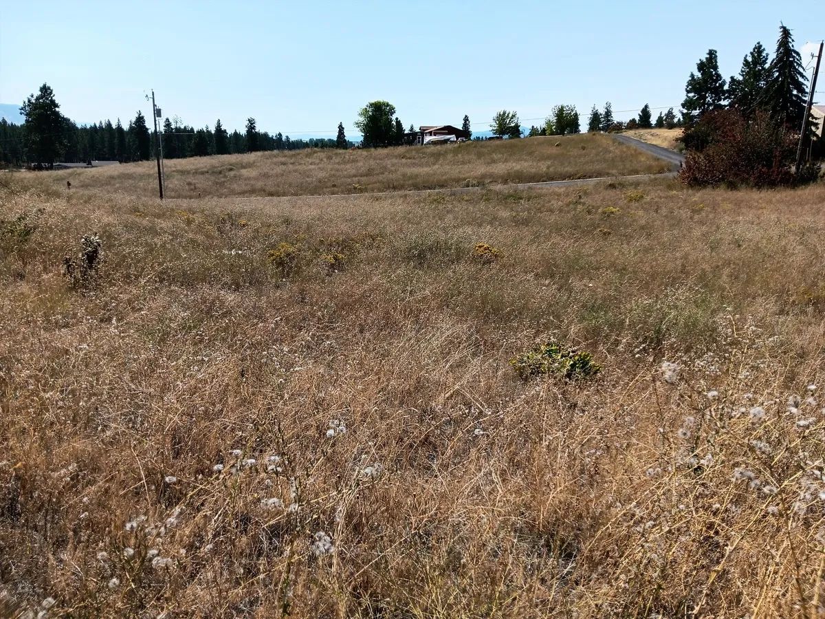 Buildable .42 Acre Lot with Community Lake Access – Chiloquin, Oregon - Main image