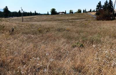 Buildable .42 Acre Lot with Community Lake Access β Chiloquin, Oregon