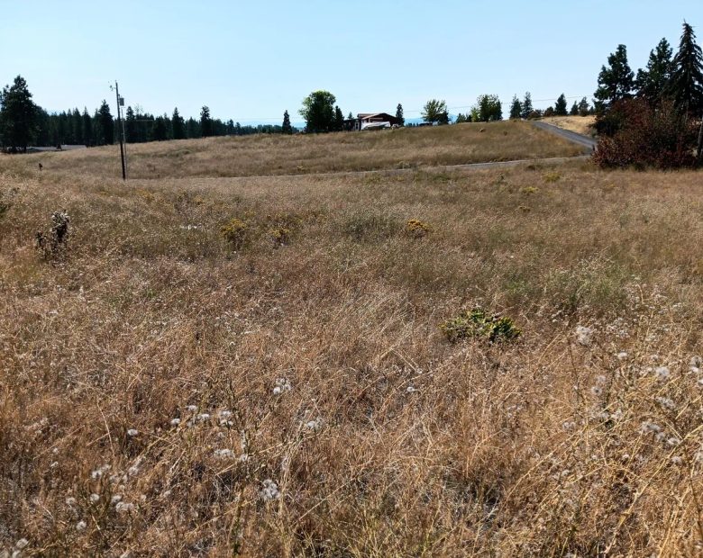 Buildable .42 Acre Lot with Community Lake Access – Chiloquin, Oregon in Klamath County, OR