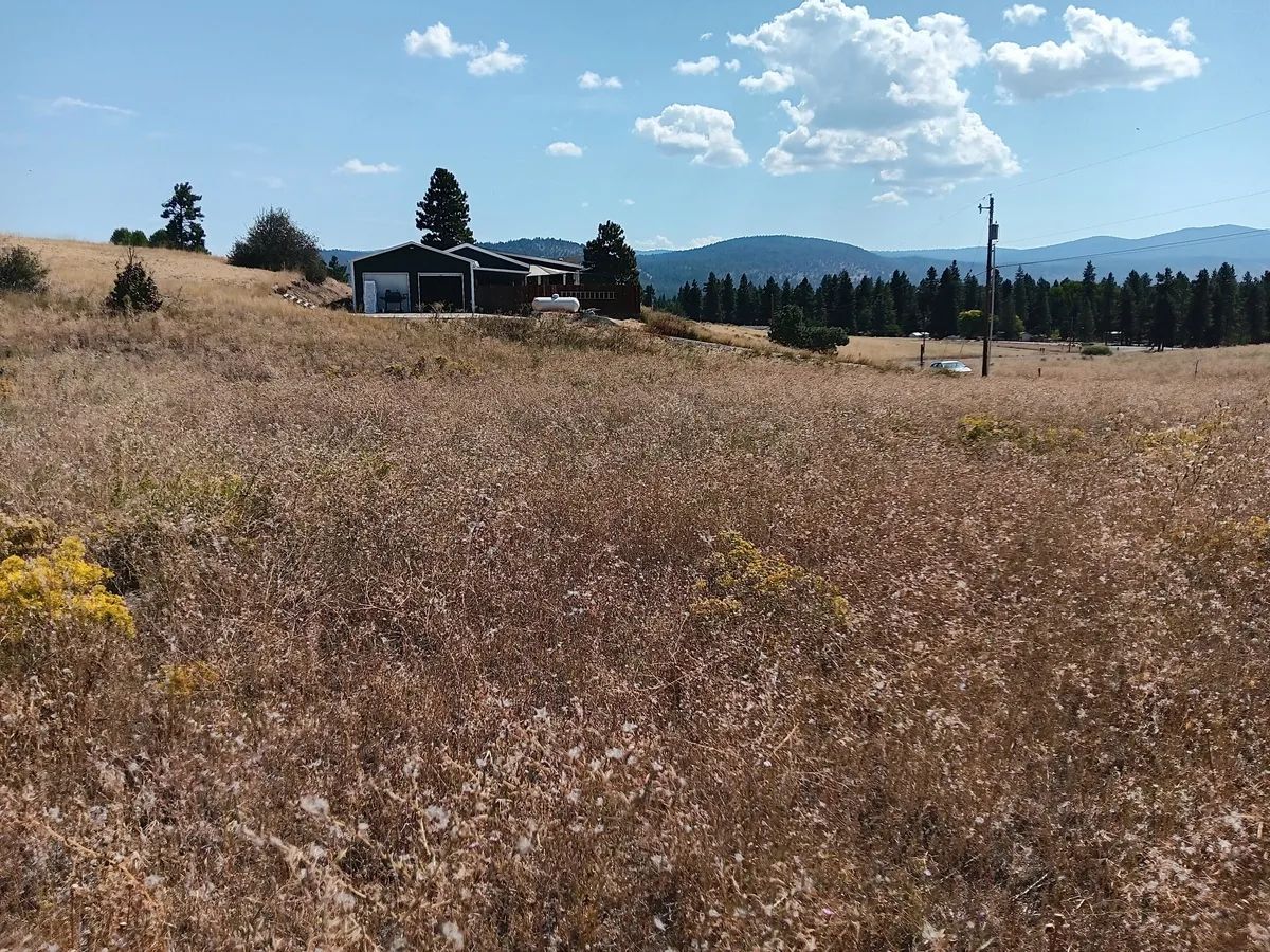 Buildable .42 Acre Lot with Community Lake Access – Chiloquin, Oregon - Image 2