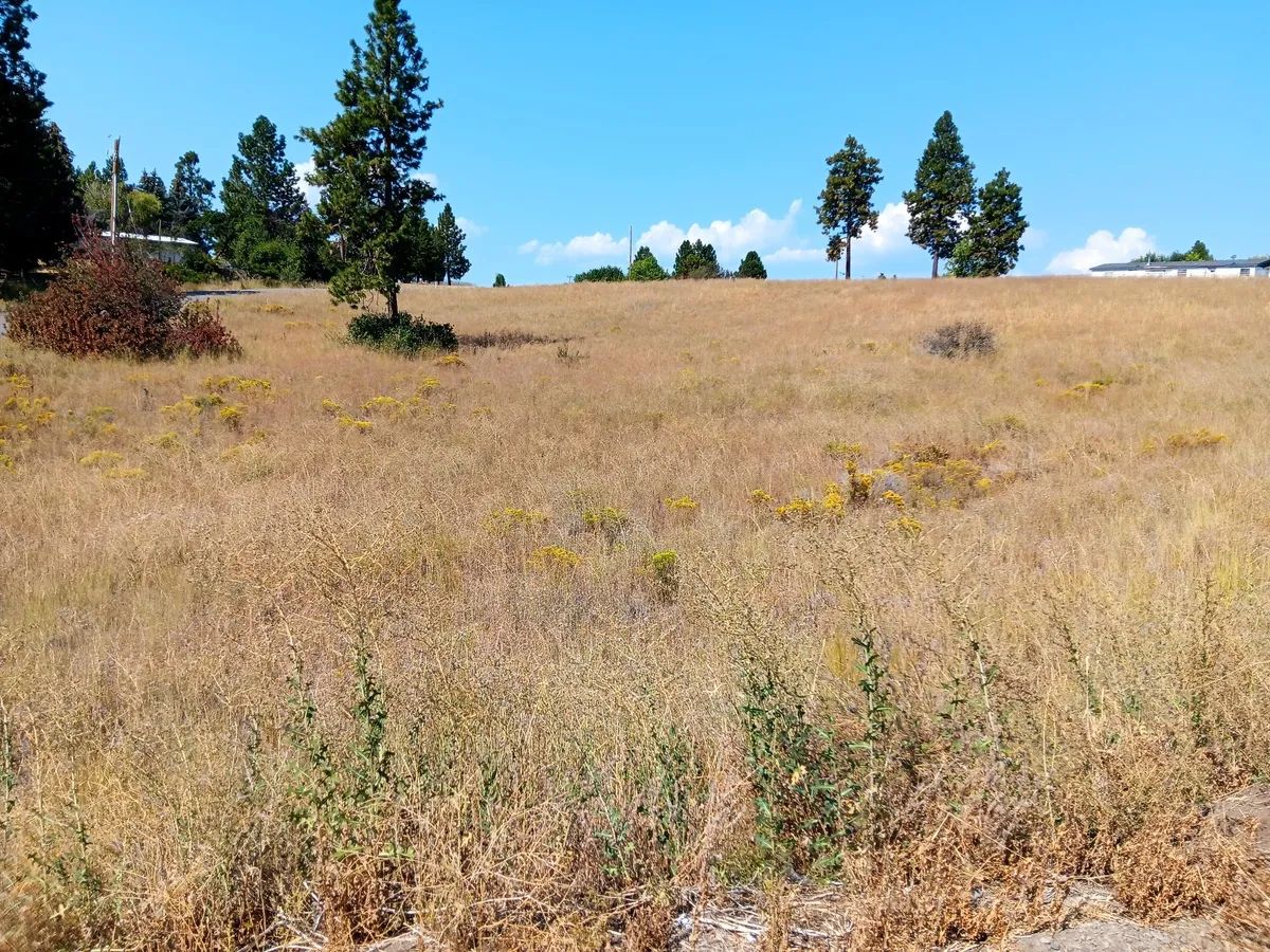 Buildable .42 Acre Lot with Community Lake Access – Chiloquin, Oregon - Image 4