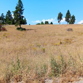 Buildable .42 Acre Lot with Community Lake Access – Chiloquin, Oregon in Klamath County, OR