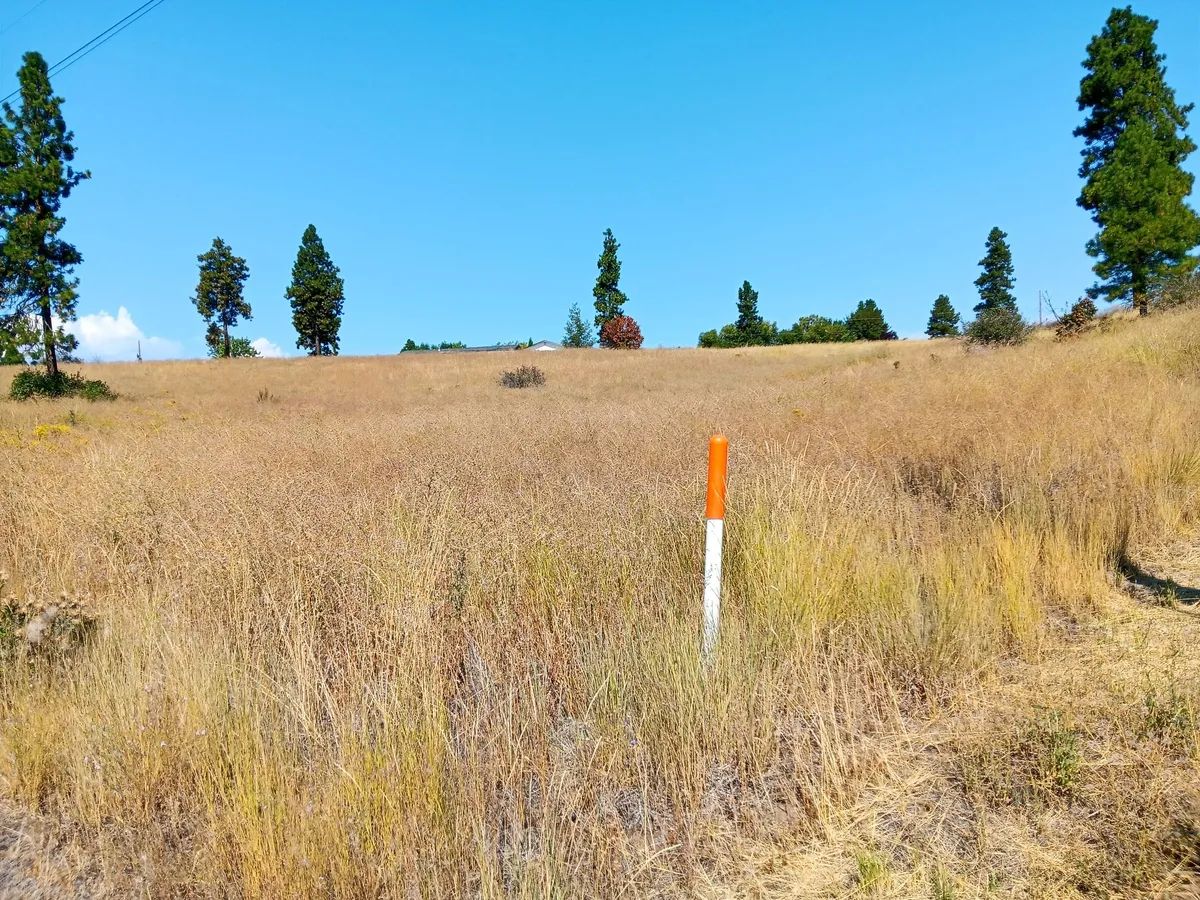 Decorative background for Buildable .42 Acre Lot with Community Lake Access – Chiloquin, Oregon image 5