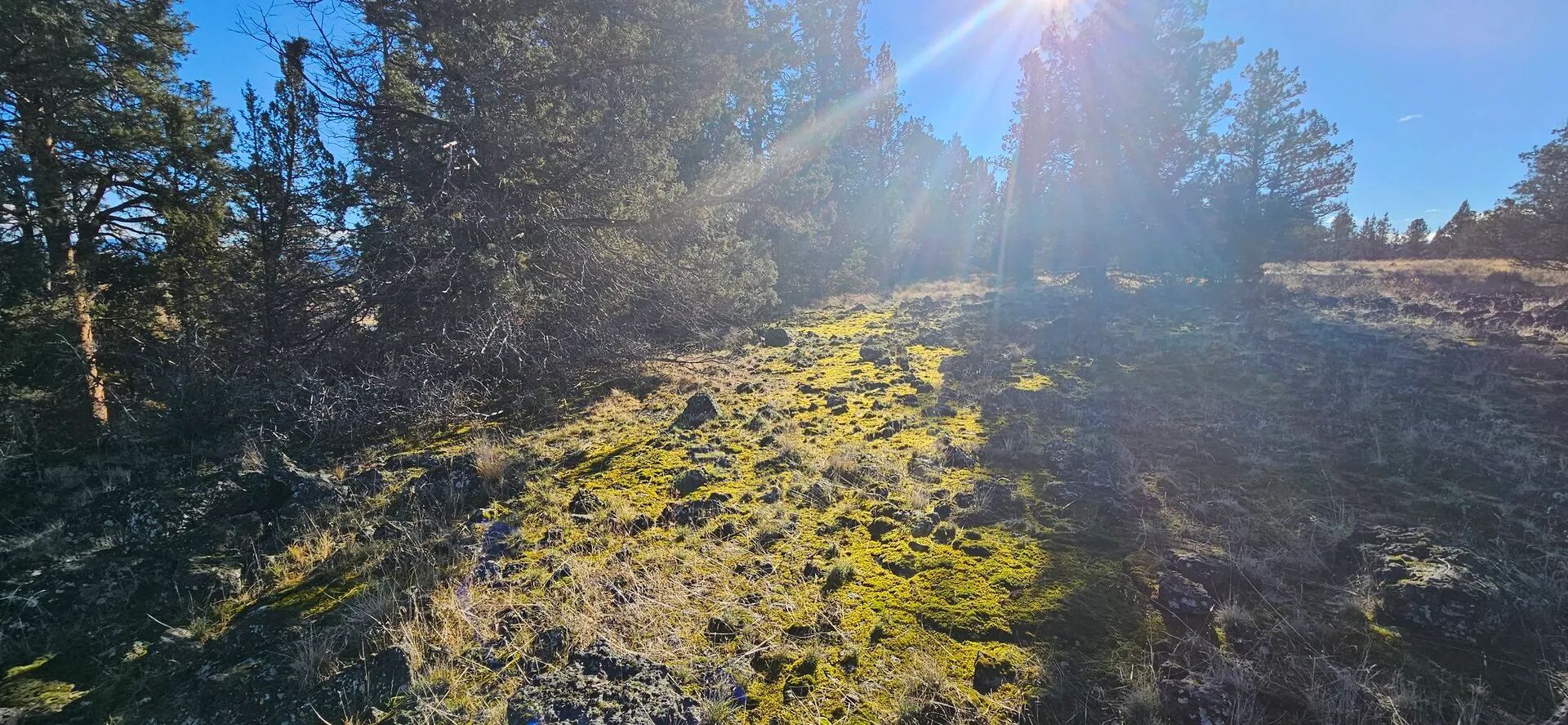 🌲🏞️ Nature Lover’s Paradise in Nimrod River Park, Sprague River, Oregon! 🏞️🌲 in Klamath County, OR