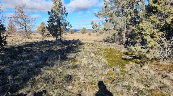 🌲🏞️ Nature Lover’s Paradise in Nimrod River Park, Sprague River, Oregon! 🏞️🌲 in Klamath County, OR