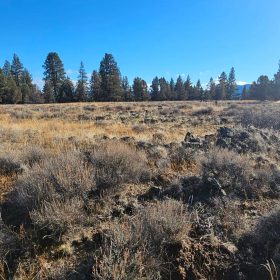 🌲🏞️ Nature Lover’s Paradise in Nimrod River Park, Sprague River, Oregon! 🏞️🌲 in Klamath County, OR