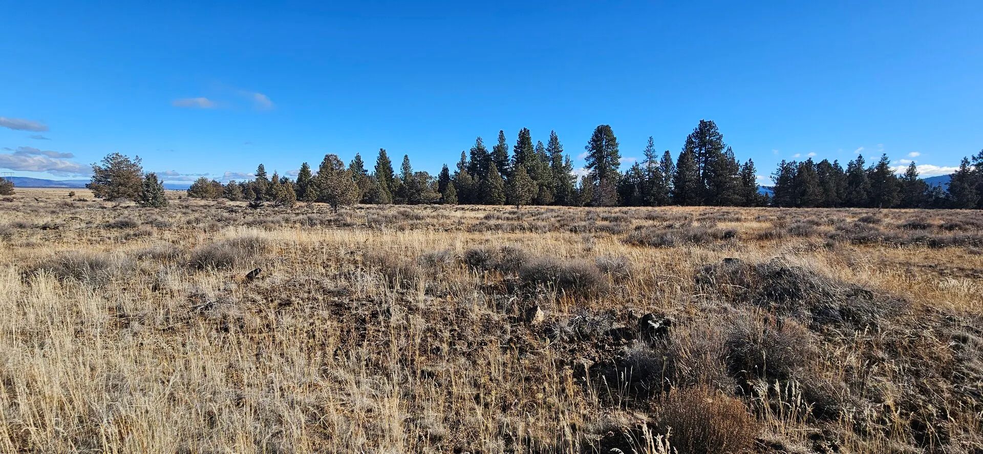 🌲🏞️ Nature Lover’s Paradise in Nimrod River Park, Sprague River, Oregon! 🏞️🌲 in Klamath County, OR