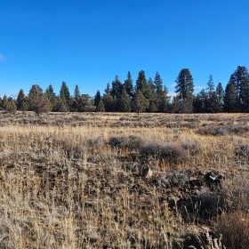 🌲🏞️ Nature Lover’s Paradise in Nimrod River Park, Sprague River, Oregon! 🏞️🌲 in Klamath County, OR