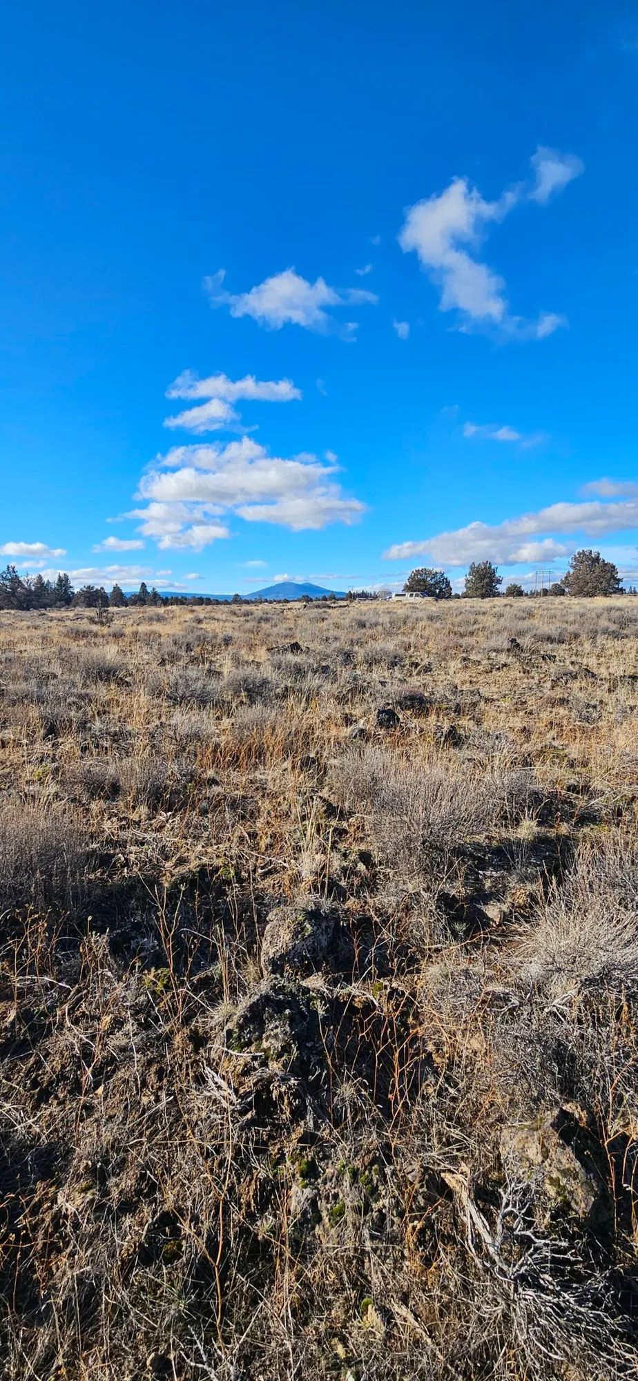 Decorative background for 🌲🏞️ Nature Lover’s Paradise in Nimrod River Park, Sprague River, Oregon! 🏞️🌲 image 5