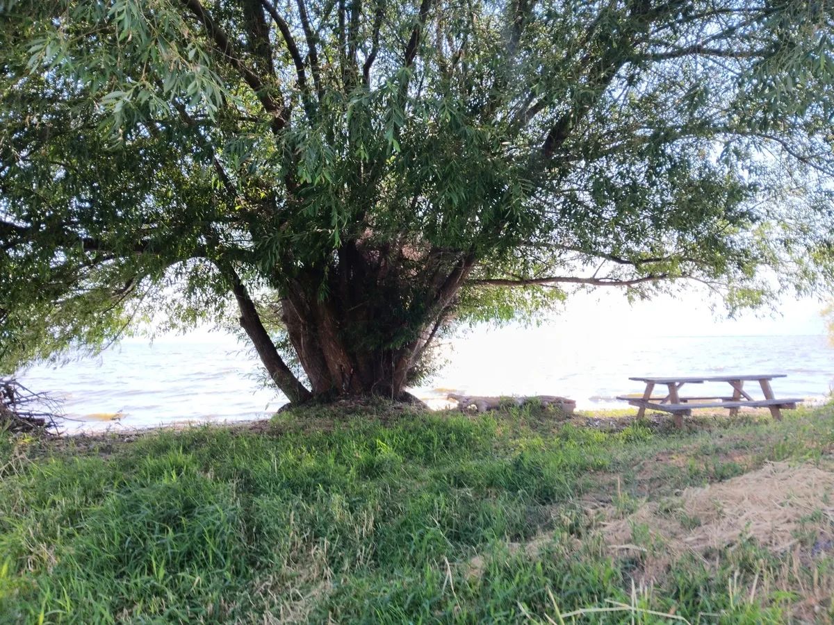 Decorative background for 1-Acre Residential Lot in Gated Community with Power, Lake Views & Private Lake Access – Chiloquin, OR image 5