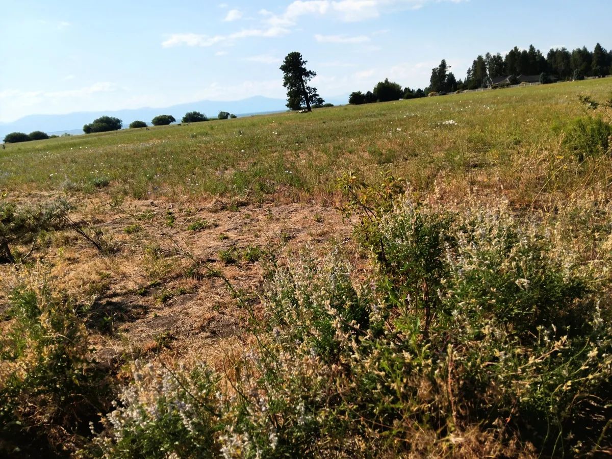 Decorative background for 1-Acre Residential Lot in Gated Community with Power, Lake Views & Private Lake Access – Chiloquin, OR image 10