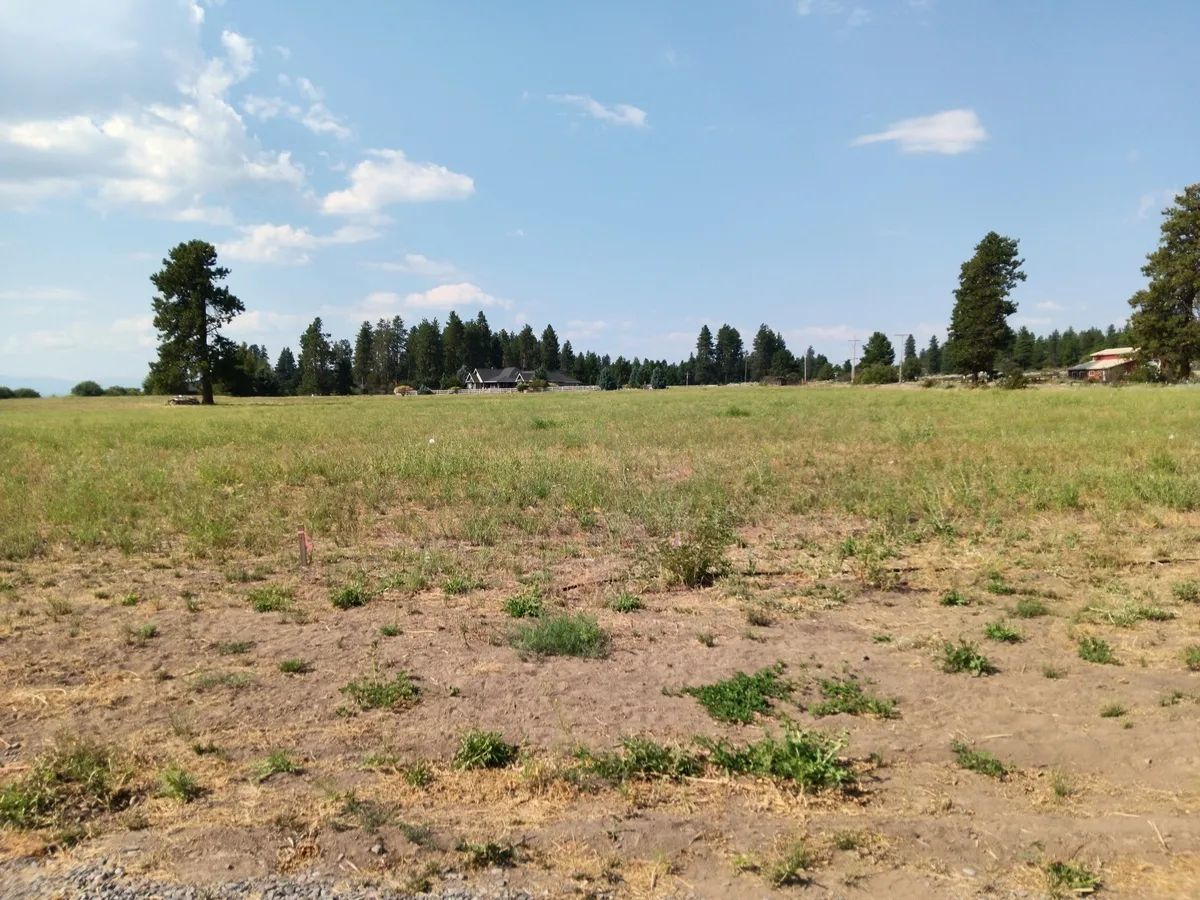 Decorative background for 1-Acre Residential Lot in Gated Community with Power, Lake Views & Private Lake Access – Chiloquin, OR image 15
