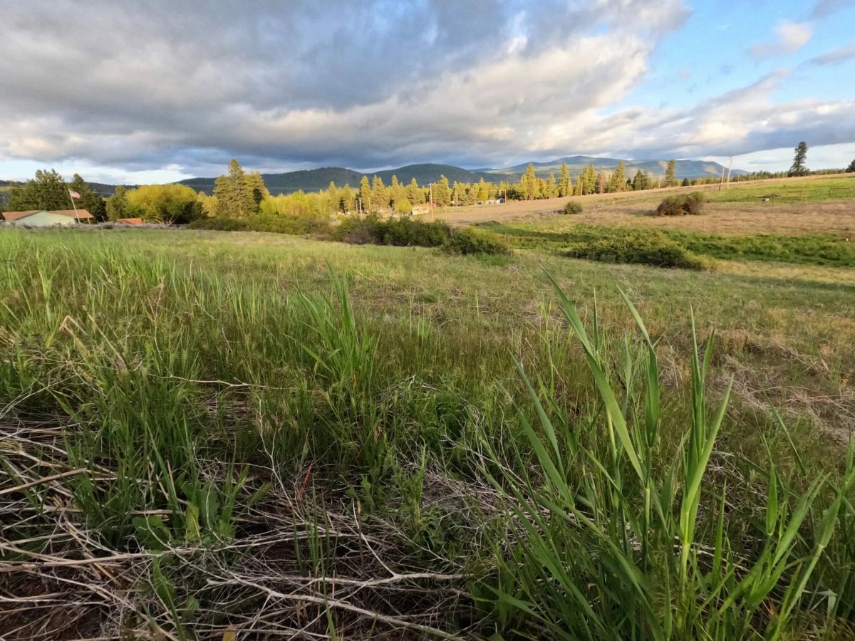 Decorative background for 0.63 Acres – Buildable Land with Community Water & Power – Near the Lake and multiple rivers. image 5