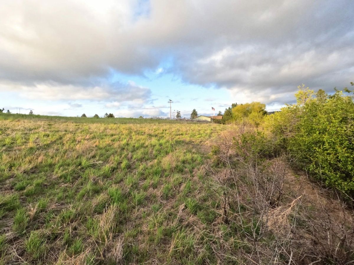 Decorative background for 0.63 Acres – Buildable Land with Community Water & Power – Near the Lake and multiple rivers. image 6
