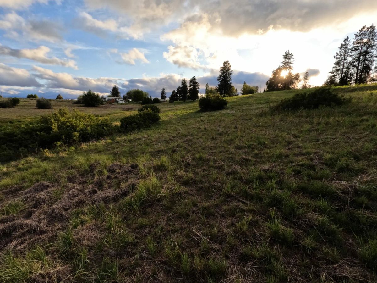 Decorative background for 0.63 Acres – Buildable Land with Community Water & Power – Near the Lake and multiple rivers. image 7