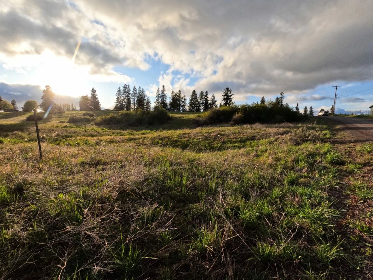 Decorative background for 0.63 Acres – Buildable Land with Community Water & Power – Near the Lake and multiple rivers. image 8