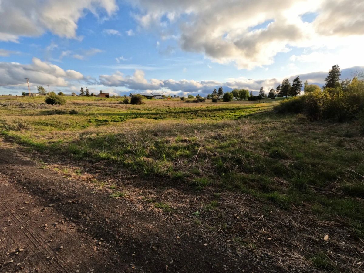 Decorative background for 0.63 Acres – Buildable Land with Community Water & Power – Near the Lake and multiple rivers. image 9