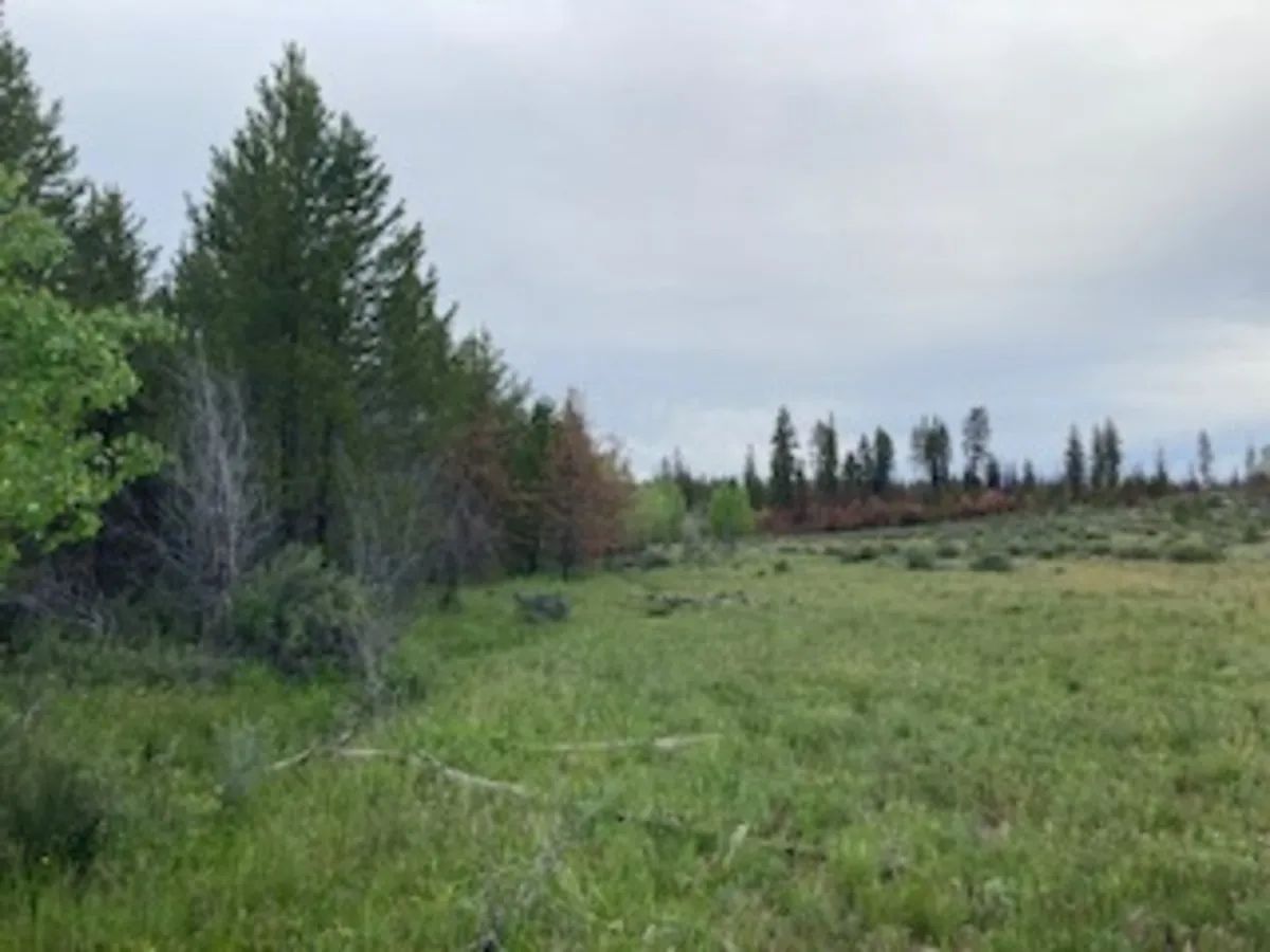 Private hunting/campground near 2 million acres of national forest!