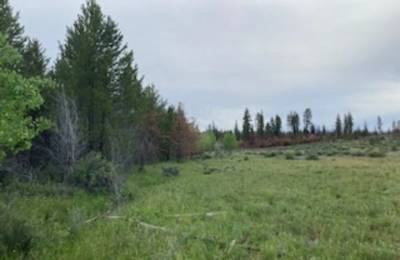 Private hunting/campground near 2 million acres of national forest!