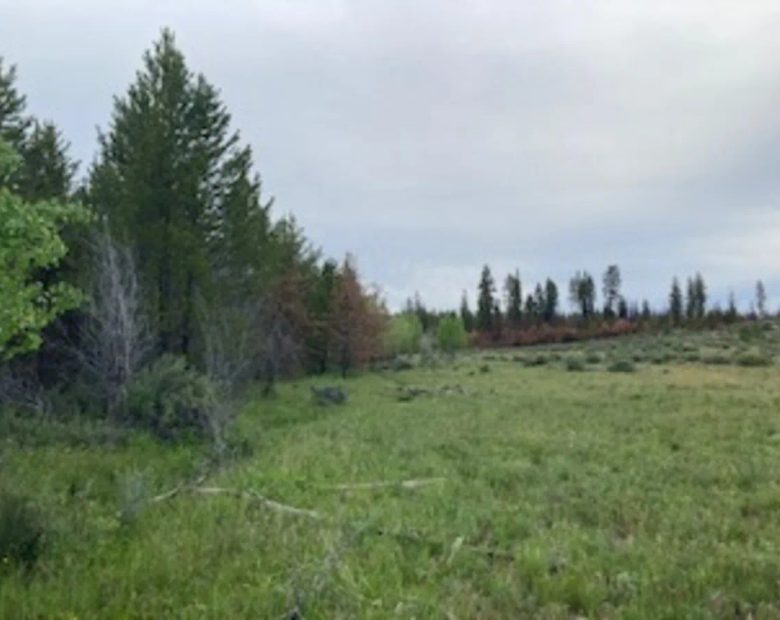 Private hunting/campground near 2 million acres of national forest! in Klamath County, OR