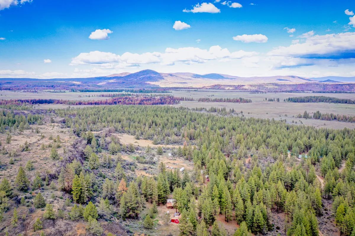 Private hunting/campground near 2 million acres of national forest! - Image 3