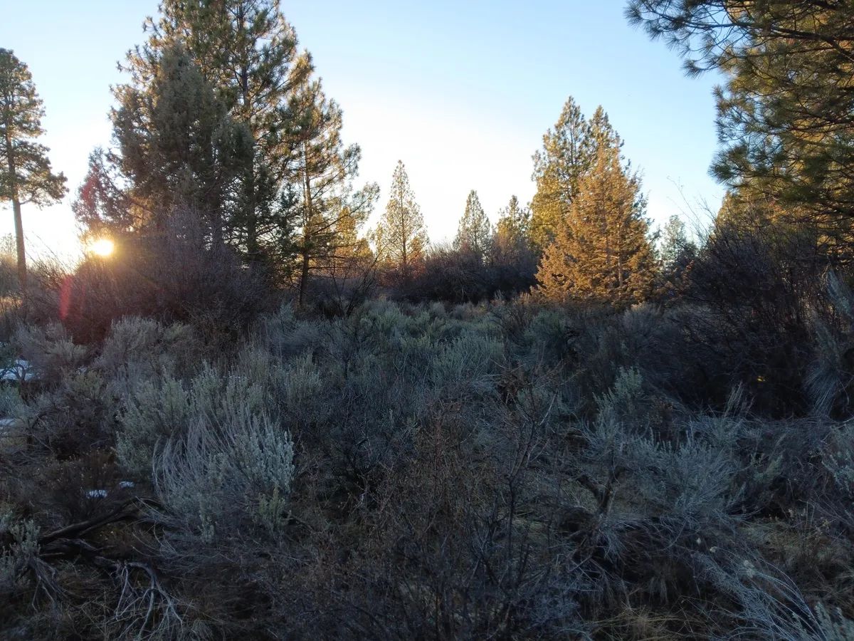 .39 Acre Corner Lot with Utilities & Private Lake Access – Oregon Shores 2, Chiloquin, Oregon - Image 4