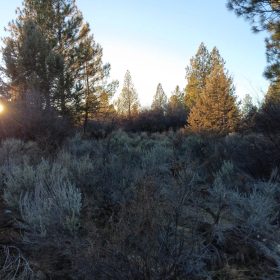 .39 Acre Corner Lot with Utilities & Private Lake Access – Oregon Shores 2, Chiloquin, Oregon in Klamath County, OR