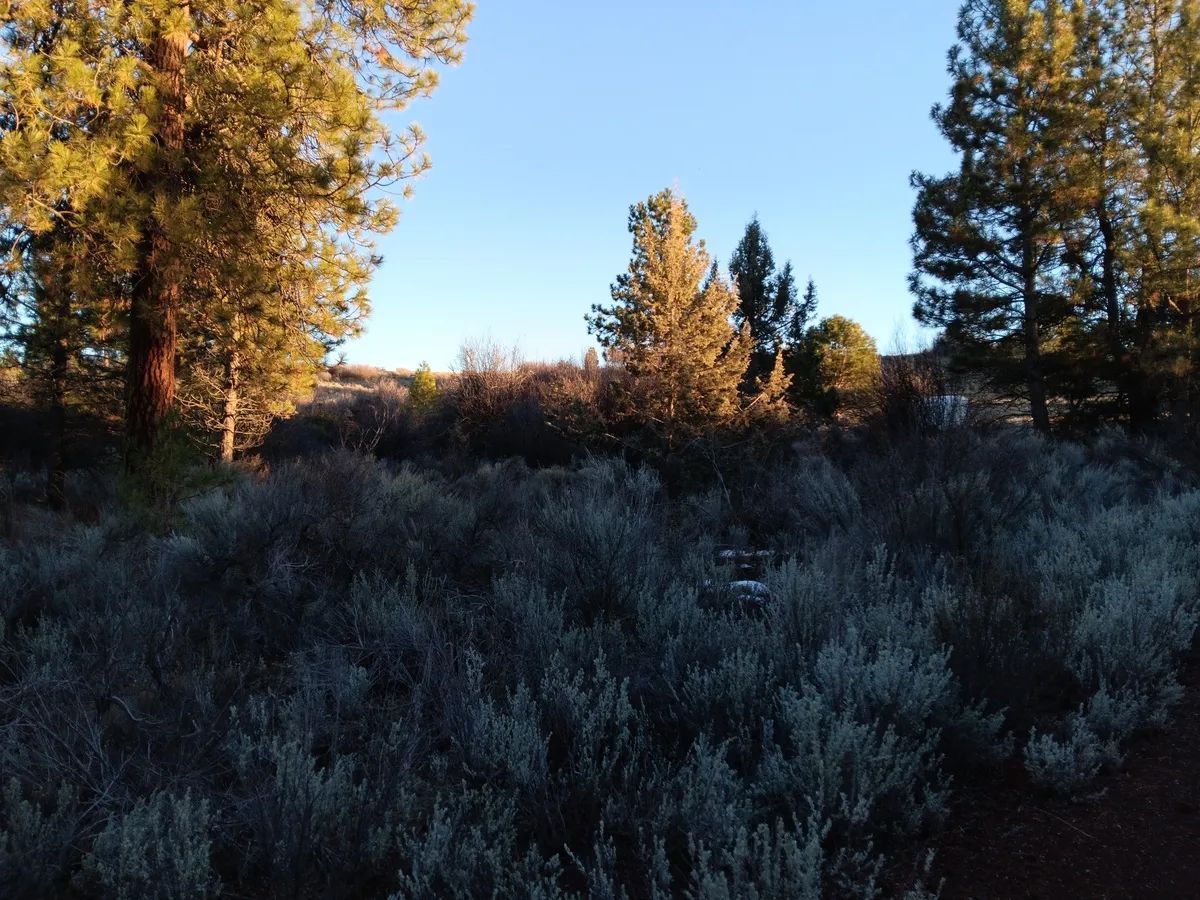 Decorative background for .39 Acre Corner Lot with Utilities & Private Lake Access – Oregon Shores 2, Chiloquin, Oregon image 5