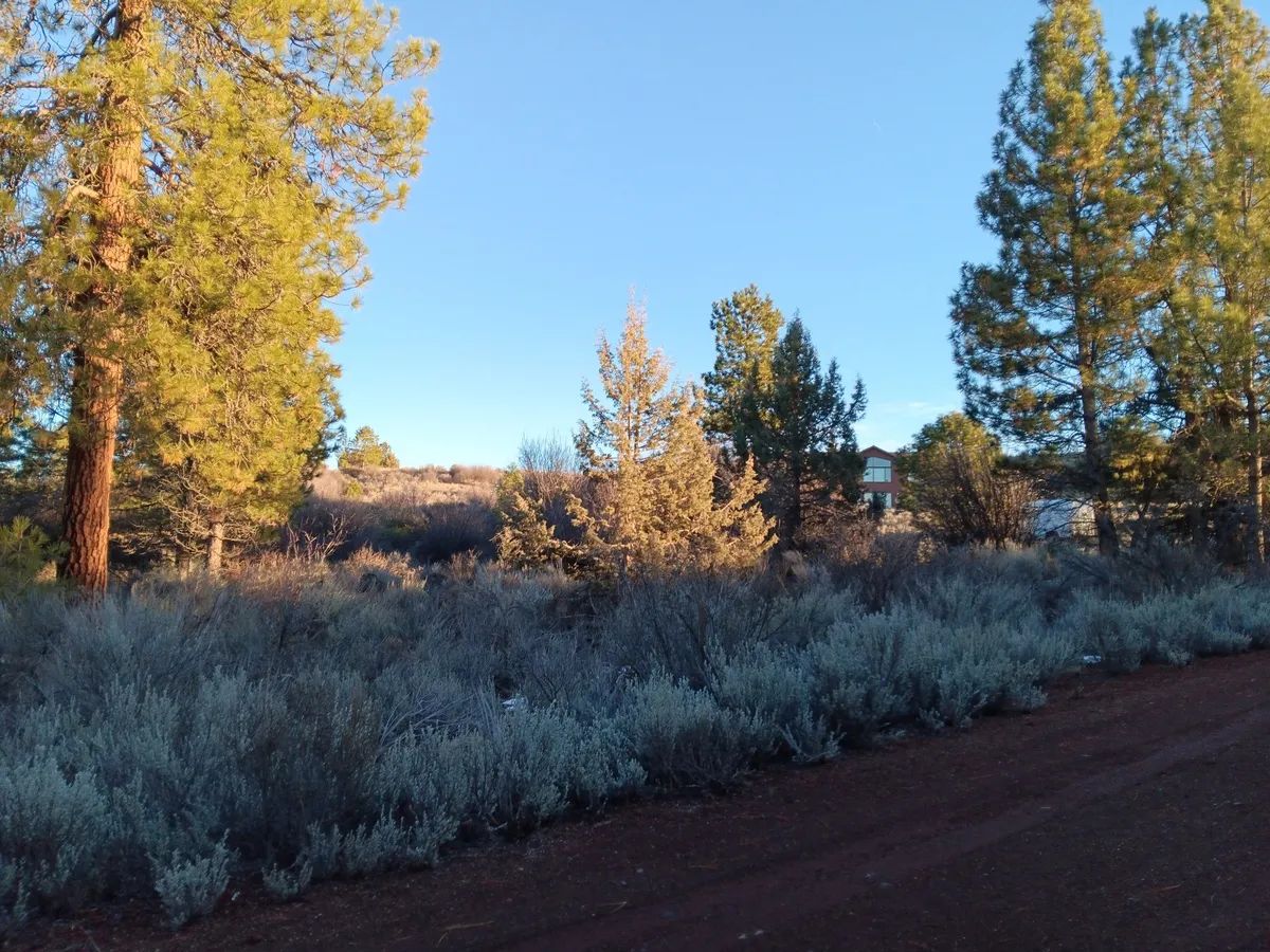 Decorative background for .39 Acre Corner Lot with Utilities & Private Lake Access – Oregon Shores 2, Chiloquin, Oregon image 6