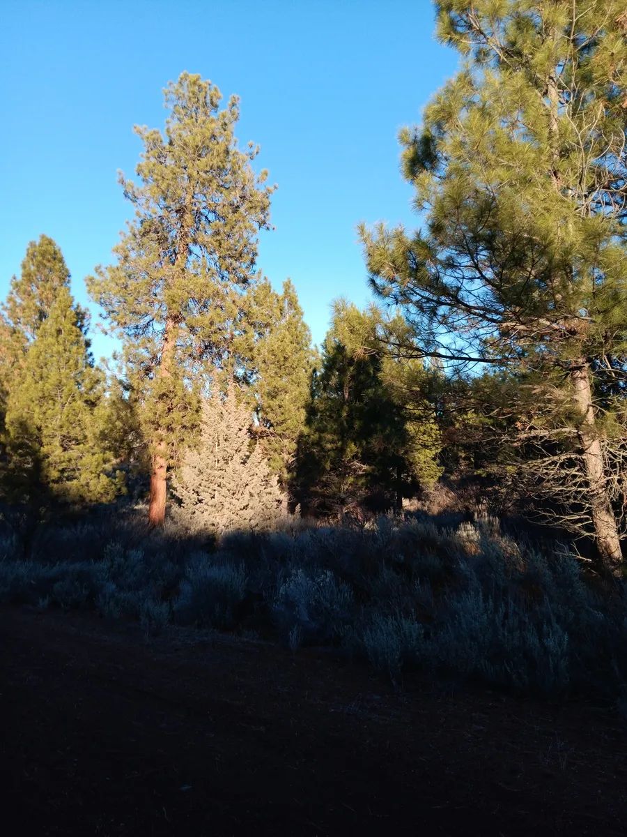 Decorative background for .39 Acre Corner Lot with Utilities & Private Lake Access – Oregon Shores 2, Chiloquin, Oregon image 8