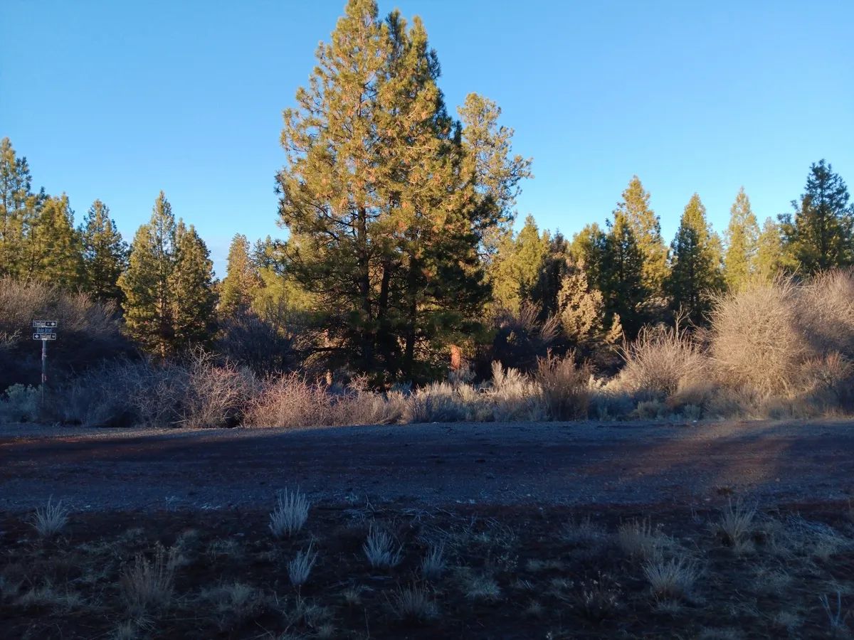 Decorative background for .39 Acre Corner Lot with Utilities & Private Lake Access – Oregon Shores 2, Chiloquin, Oregon image 9