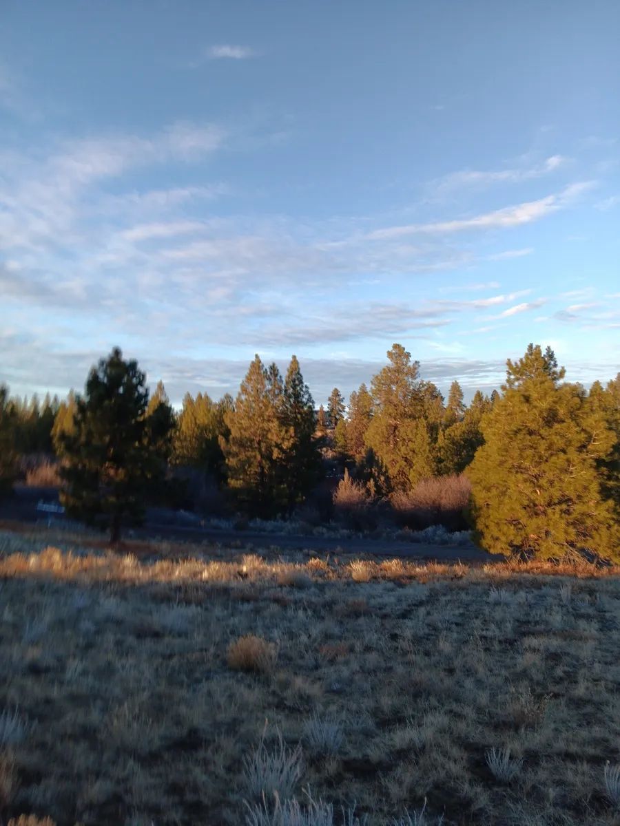 Decorative background for .39 Acre Corner Lot with Utilities & Private Lake Access – Oregon Shores 2, Chiloquin, Oregon image 10