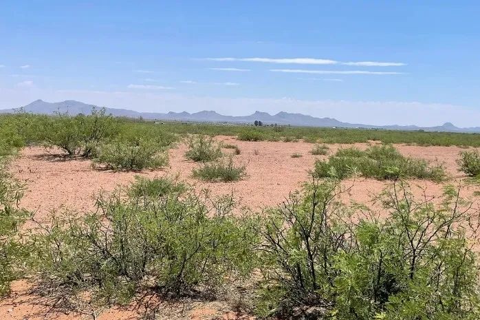 0.49 Acres for Sale in Douglas, Arizona - Main image