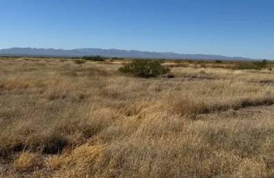 0.29 Acres for Sale in Douglas, Arizona