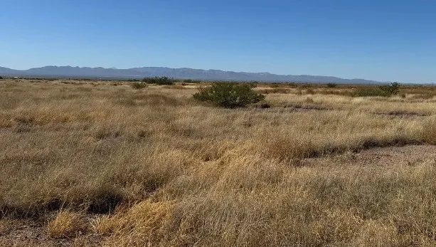 0.29 Acres for Sale in Douglas, Arizona in Cochise County, AZ