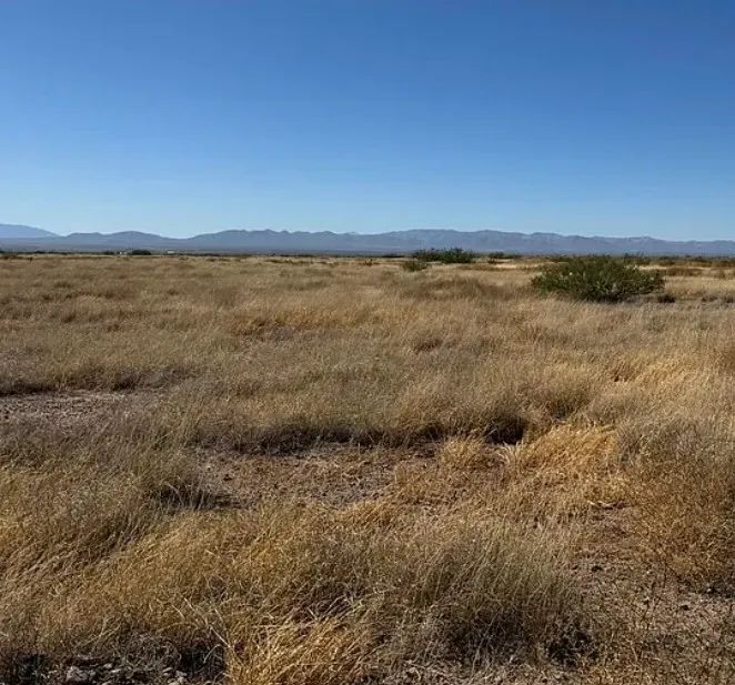 0.29 Acres for Sale in Douglas, Arizona in Cochise County, AZ